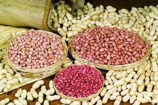 河南花生爆料新闻  第1张